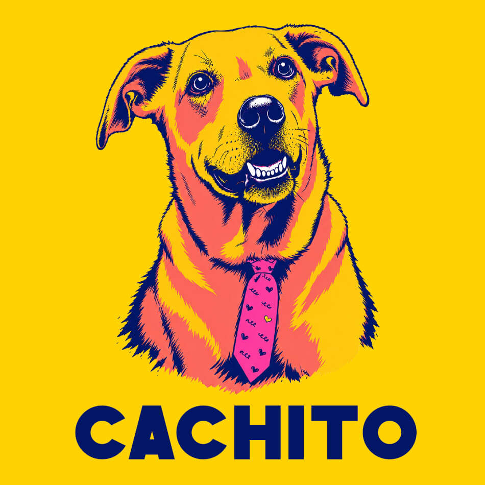 Ilustração personalizada de pet no estilo Pop Art