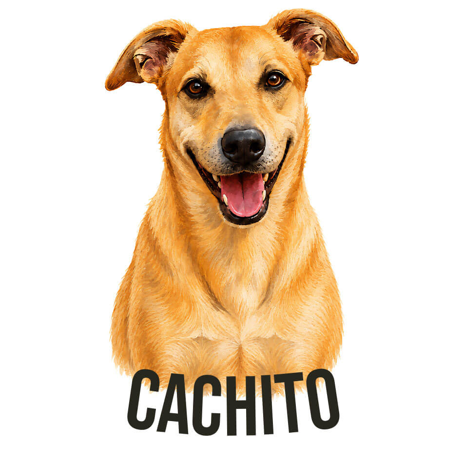 Retrato personalizado de pet no estilo Realista