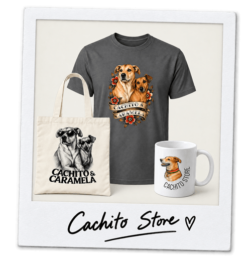 Produtos personalizados com a foto do pet em camisetas, caneca e ecobag