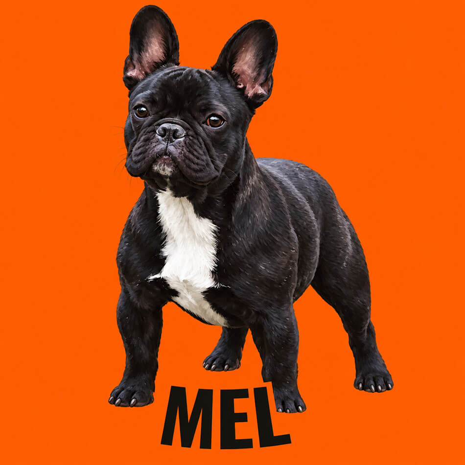 Retrato personalizado de pet no estilo Realista